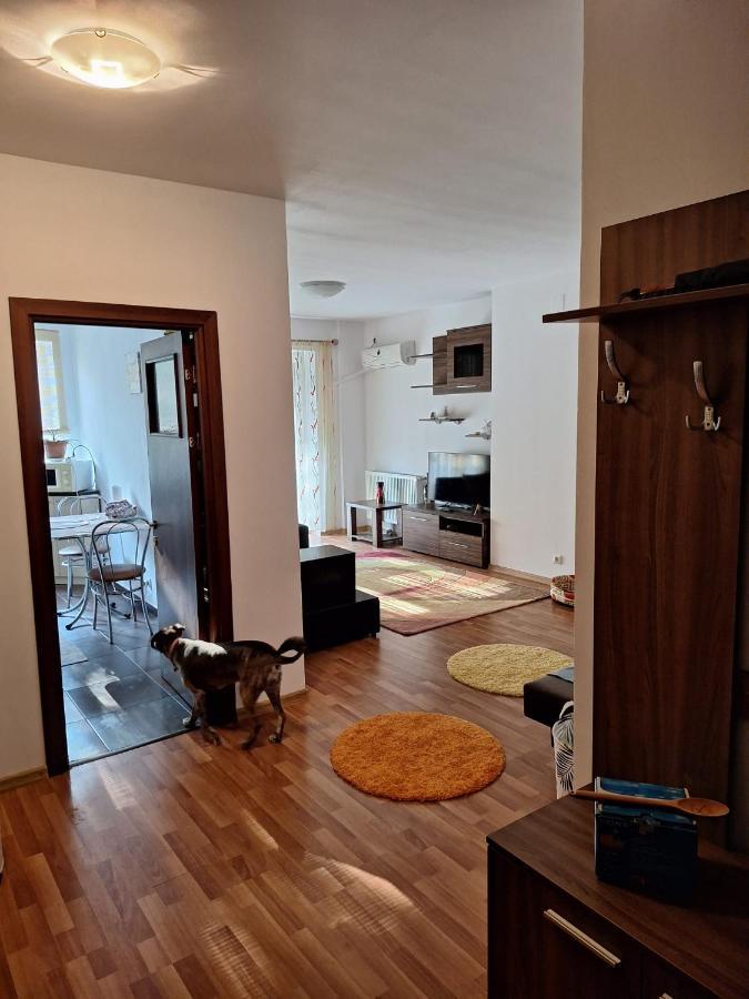 Apartament Tokyo 부쿠레슈티 외부 사진